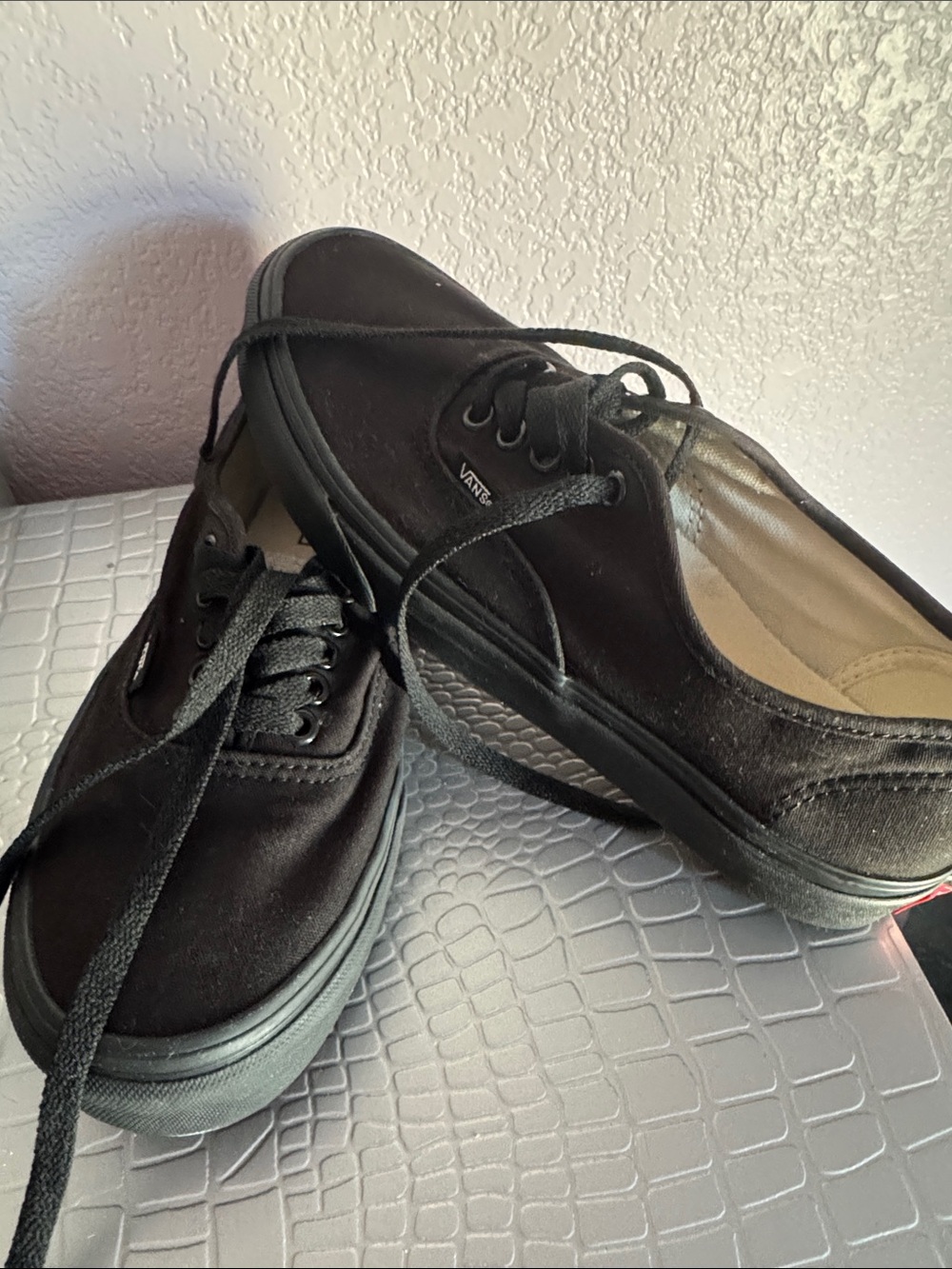 Vans Black Men's Canvas Low-Top Sneakers